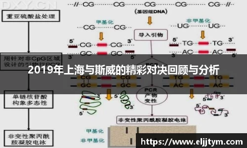 威廉希尔体育